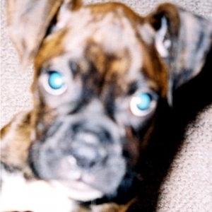 gunny1