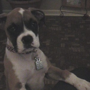 abbybegging_002