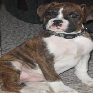 lady lexi
