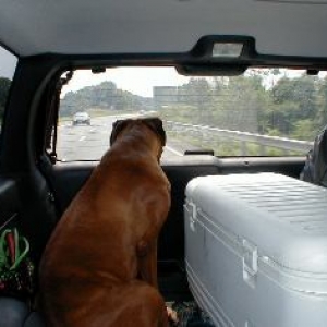 Kaine's Road Trip