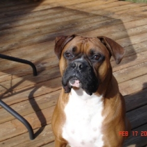 Kaine's Outdoor Shot