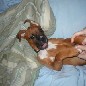 Ticklish