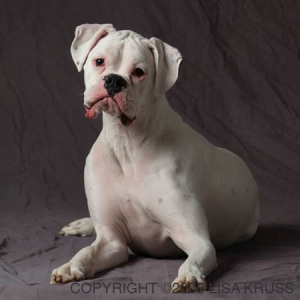 Kozmo's photo session