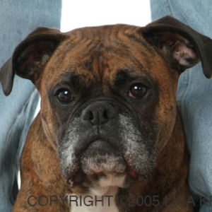 My baby girl Zoe