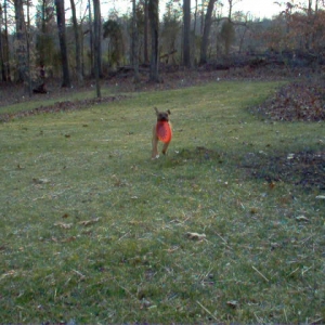 frisbee time