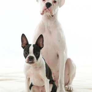 Kozmo and his little brother Toby