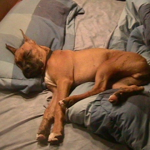 sleeping