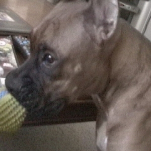 Hunter33
