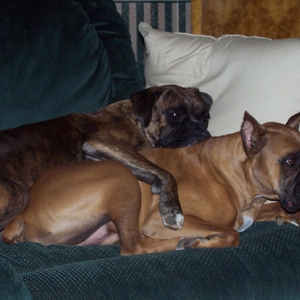 Snuggle_boys_1