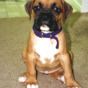 Baby Madison
