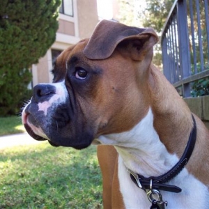 So Focused