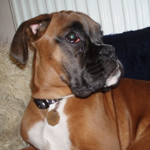 Ruby_19_weeks