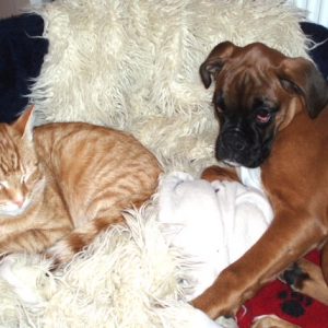 Ruby and Milo!