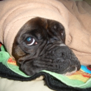 After a bath