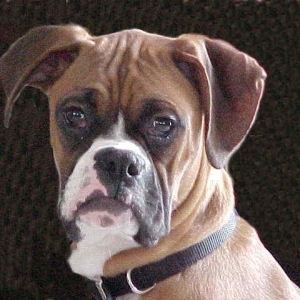 This is our Otis