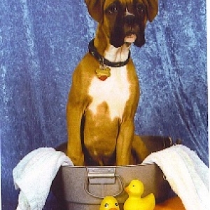 Kaine's Modeling Career Part 1!