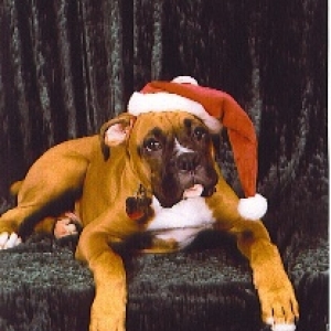 Kaine's Modeling Career Part 2!