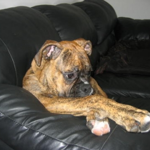 More Couch
