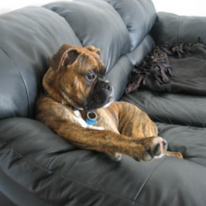 More Couch