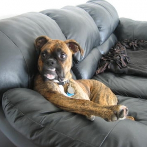 Couch5