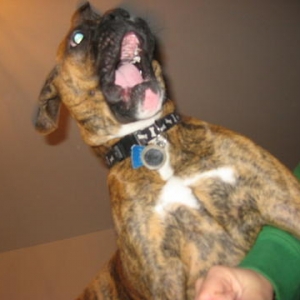Attack!