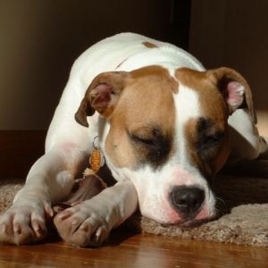Hannah Sleeping