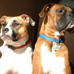 Hannah and Samson