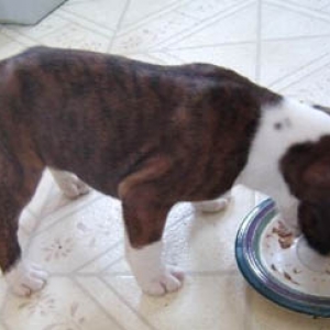 Buster Standing