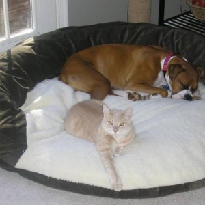 nap time