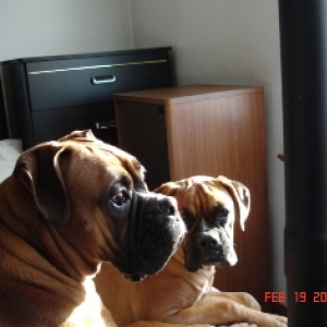 Kaine & Zoey