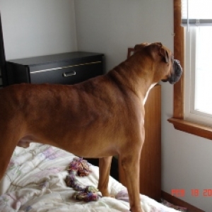 Kaine Keeping Guard!