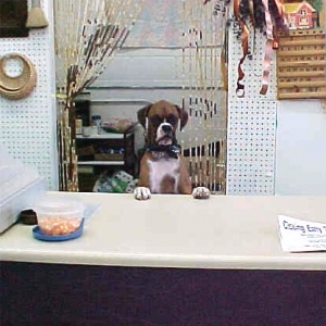 Who's minding the Store