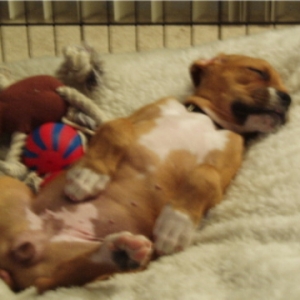 sleepingcomfy