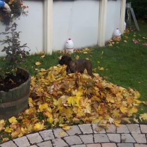Fall day