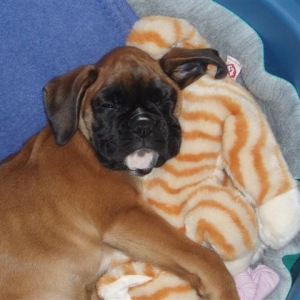 Gracie 6 mths