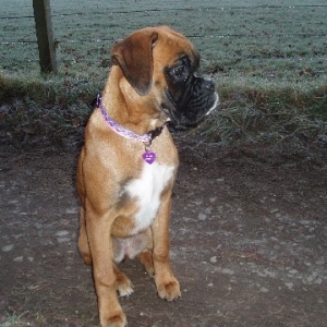 Posh new collar...