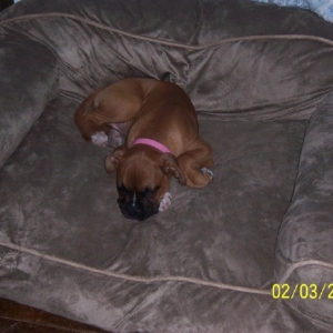 sleeping