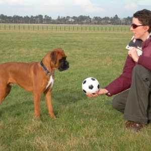 OK...........Lets Play!
