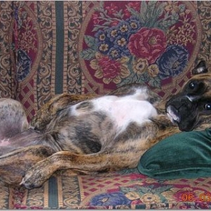 i swear i found her like this