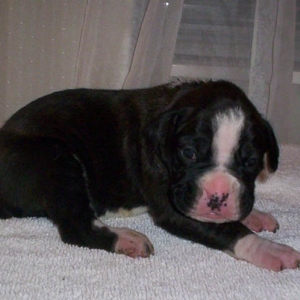 Little baby Girl
