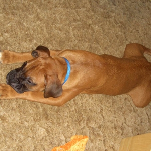 Cutie Lou Magoo