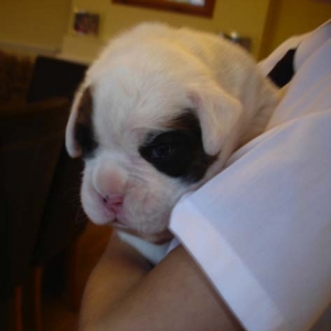 Baby boy 2.