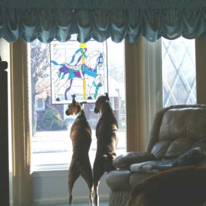 Their favorite spot!!