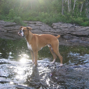 Titan