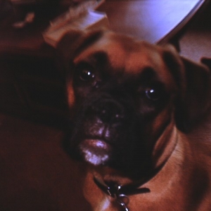 Sam's closeup