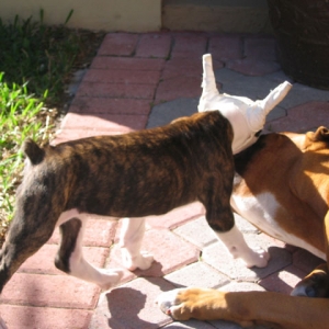 Gotcha!!!