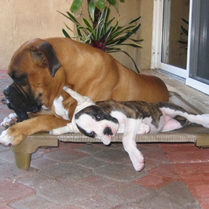 I'm feeling sleepy...