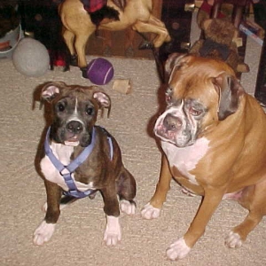 Otis babysitting Otto