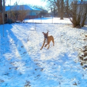 Loves to run!