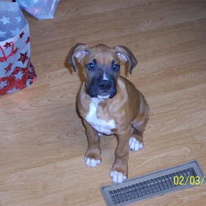 Hi. My name's Wilson.